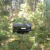 Foto: Zagtu 'Range Rover' atrod paslēptu papardēs
