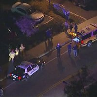 Бойня на вечеринке под Лос-Анджелесом: 12 убитых, стрелок найден мертвым