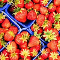 Коалиция договорилась снизить НДС на латвийские овощи, фрукты и ягоды