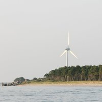 Faktu pārbaude: Izbūvējot vēja parkus, Latvijā visticamāk lielas platības neatmežos; vides sargi satraukti par dabas daudzveidību