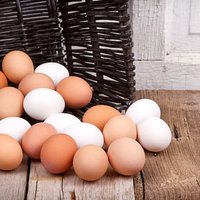 Cik ilgi jāvāra olas?