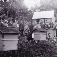 Arhīva foto: Kā bišu dravās ievāca medu pagājušajā gadsimtā