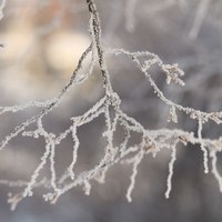 В некоторых районах Латвии похолодало до –23 градусов