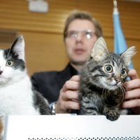 'Melnajā sarakstā' būtu jāiekļauj Kuklačovs un viņa kaķi, pauž Ušakovs