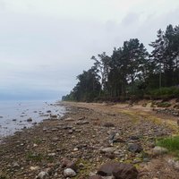 Pārgājienu maršruts Jūrtaka: kā iepazīt Baltijas jūras piekrasti no jauna