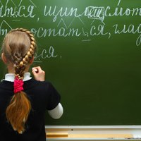 "Это было бы ужасной ошибкой". Лидер одной из коалиционных партий высказалась против закрытия русских школ в Литве