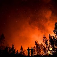 Foto: Portugāles vidienē plosās plaši meža ugunsgrēki