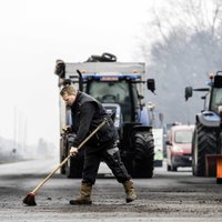 Кто виноват: Брюссель, Киев или импорт? Фермеры протестуют по всей Европе — и по разным причинам