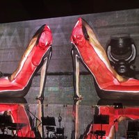 ФОТО. ВИДЕО. На международной выставке показали "живую обувь"