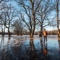ВИДЕО. Уникальный опыт – катание на коньках по болоту в Соомааском парке Эстонии