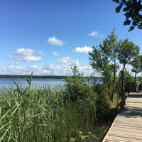 ФОТО. Маршрут выходного дня: Неторопливая прогулка по природной тропе озера Бушниеку
