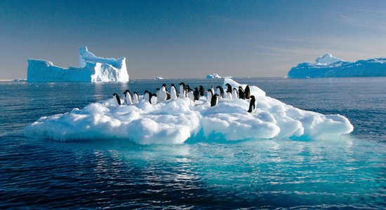 Nepatikšanas Antarktikā: pēdējie trīs gadi ir pamats nopietnām bažām