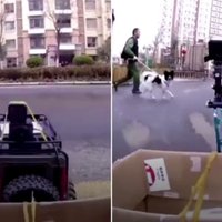 Video: Ķīniete bailēs no koronavīrusa uz pārtikas veikalu sūta radiovadāmu auto