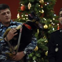 Foto: Krievija Francijai nogalinātā suņa vietā pasniedz kucēnu Dobriņu