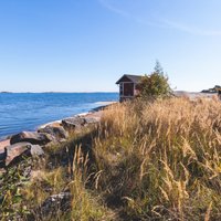 В Финляндии появился первый в мире остров, на котором нельзя использовать смартфоны