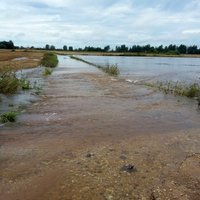 Наводнение в Латгале: в некоторых реках сохраняется очень высокий уровень воды