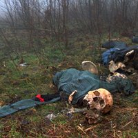 Nīderlandes karavīri ir līdzatbildīgi Srebreņicas slaktiņā, lemj Hāgas tiesa