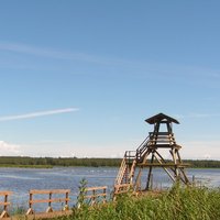 10 dabas takas pie brīnišķīgiem Latvijas ezeriem, kur noķert vasaru aiz astes