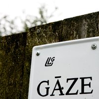 Немцы нашли покупателя крупного пакета акций Latvijas Gāze