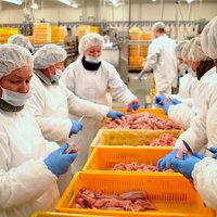 Eksperts: Putnu gaļas tirgu Krievijas sankcijas neietekmēs; lielākais deficīts ir Āzijā