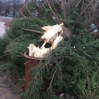ФОТО: В Вентспилсе буря сломала главную городскую елку, сообщают о разрушениях по всей Латвии