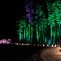 Tērvetes dabas parks izgaismots krāšņās svētku gaismās