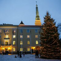 Rīgas Ziemassvētku eglītes maksās 18 tūkstošus eiro