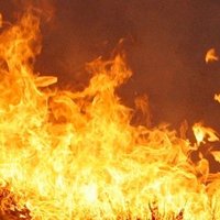 Trešdien Latvijā dzēsti četri nelieli meža ugunsgrēki