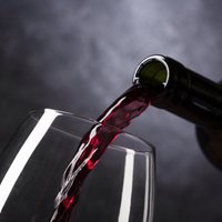Полезно ли вино и чем закусывать? Серьезные ответы на несерьезные вопросы про алкоголь