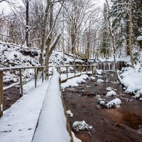 ФОТО: Снежная прогулка по природной тропе мельницы Иерики