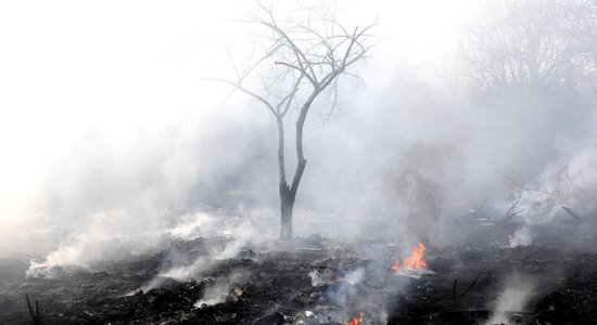Faktu pārbaude: Latvijā netiek aizvērti ugunsdzēsēju depo pie dabas rezervātiem