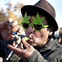 Опрос: каждый десятый житель Латвии — за легализацию марихуаны