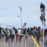 Испания демонтирует колючую проволоку на границе с Марокко