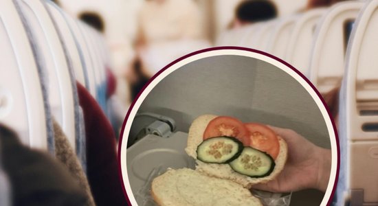 Nabadzīgā vegānu maizīte 12 stundu lidojuma laikā sajūsmina internetu