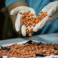 Наркотики почтой: из Нидерландов в Латвию присылали MDMA и галлюциногенные грибы