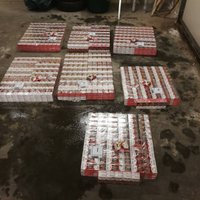 Foto: Robežsargi Līksnas pagastā izņem 42 000 kontrabandas cigaretes