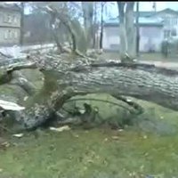 Arhīva video: 2005. gada 9. janvāra vētra