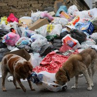 Rīgas jaunais atkritumu apsaimniekošanas plāns veicinās investīcijas, min apsaimniekotāji