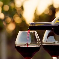 Пиво, водка, вино и ликеры: какой алкоголь наименее вредный?