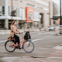 Город для велосипедистов? Новые велодорожки в Риге: что построят и что улучшат в этом году
