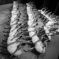 "Лебединое озеро" - символ конца кошмара. В Риге выступит балет, где танцуют украинские и русские беженцы