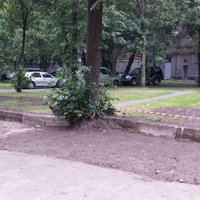 Autovadītāja Rīgā uzbrauc kokam un gūst traumas