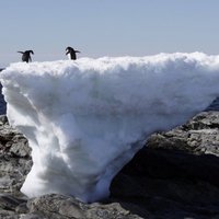 Ledus platība okeānos zemākā novērojumu vēsturē