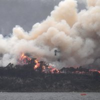 "Премьер-министры тоже сделаны из плоти и крови": премьер Австралии признал ошибки в борьбе с пожарами