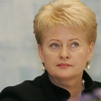 Президент Литвы на встрече с Порошенко подвергла Россию критике