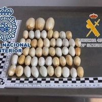 Испания: "живой контейнер" из Латвии провез в себе 102 пакета с кокаином