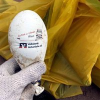 Jūra Kurzemes krastā izsviež Vācijā bankas svinībās palaistu hēlija balonu