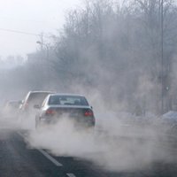 За властями городов ФРГ признали право запрещать въезд дизельных машин