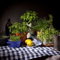 Запасаем зелень на зиму: 7 лучших рецептов домашних заготовок
