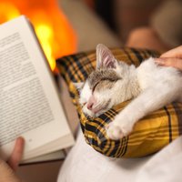 Kādas grāmatas izlasīt svētku laikā? Grāmatu blogeru ieteikumi